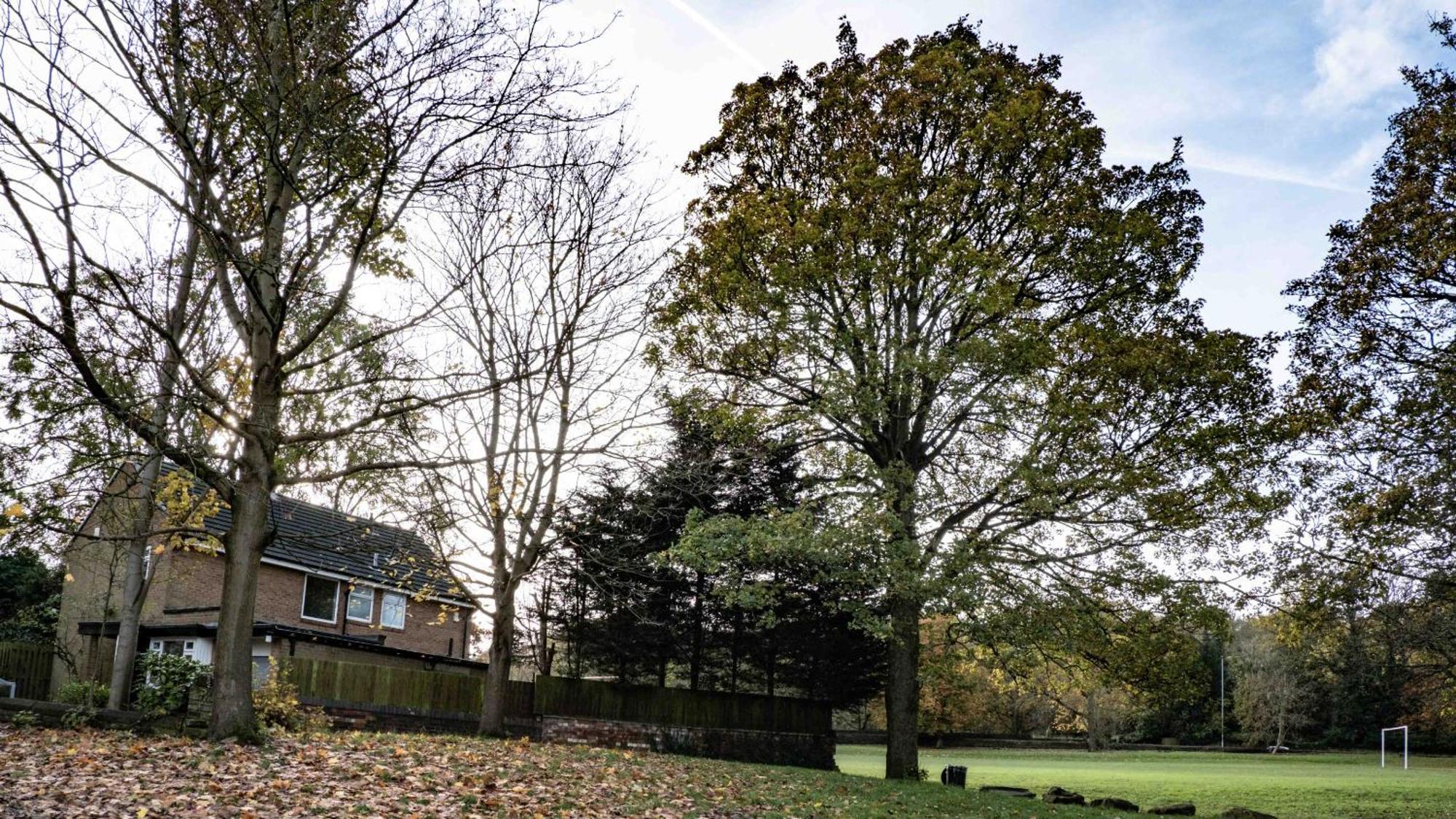 Cross Lane Cottage Pudsey Luaran gambar